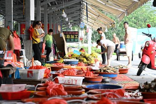 海鲜爆料视频,揭秘海鲜市场背后的惊人真相 第2张 海鲜爆料视频,揭秘海鲜市场背后的惊人真相 第2张