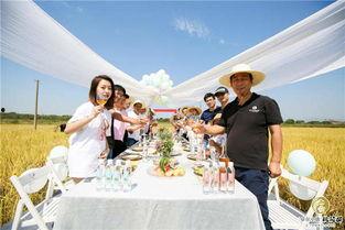 卓尔最新爆料桃花驿,桃花驿神秘面纱背后的传奇故事 第3张 卓尔最新爆料桃花驿,桃花驿神秘面纱背后的传奇故事 第3张