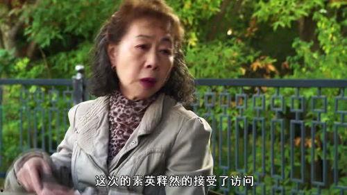 酒神小姐在线观看,醉舞红尘，探寻酒香背后的传奇人生  第2张